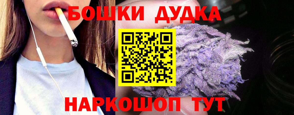 Бошки Шишки планчик Северск